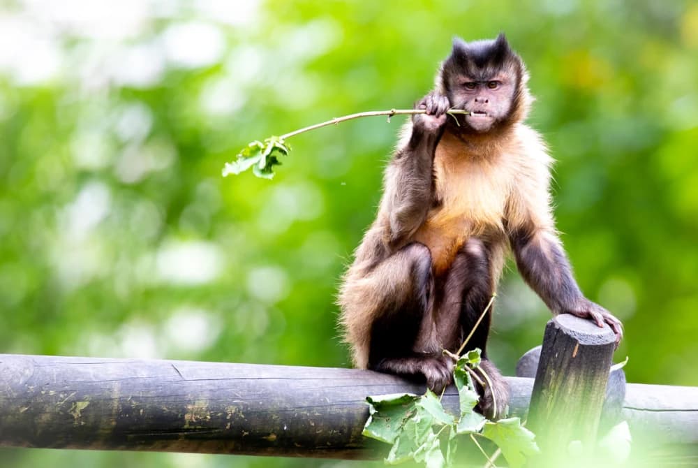 Most-Voted Small Photo