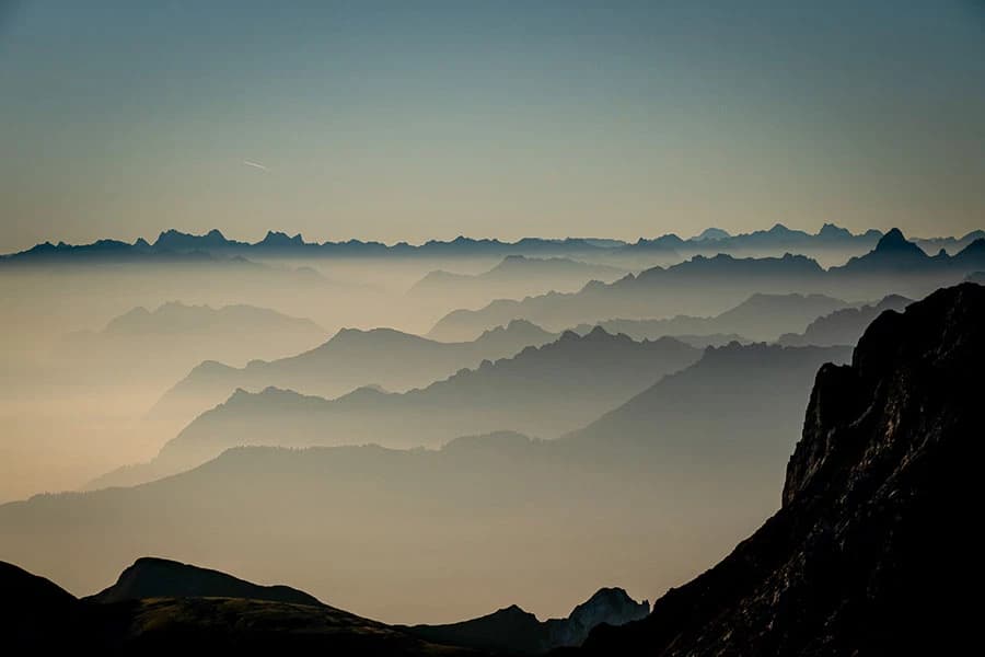 2. Public Prize: Ute Sauermann