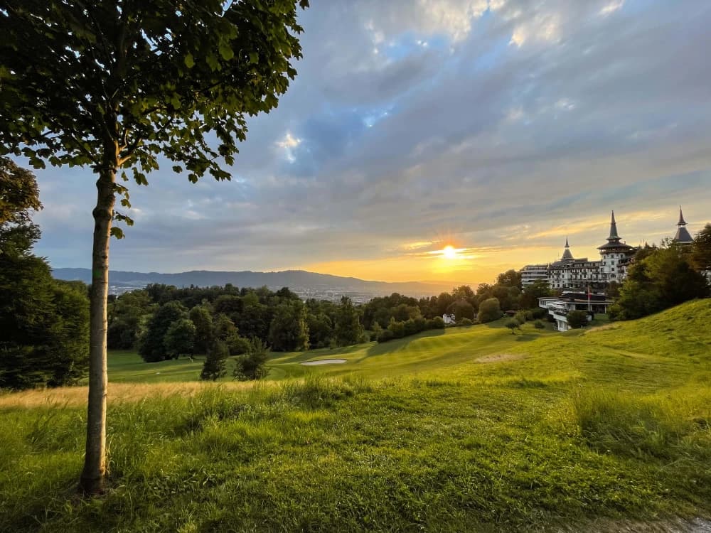 Zürichberg im Abendlicht
