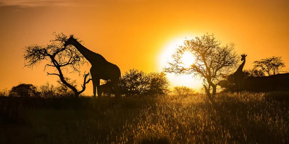 Namibia Photography Trip
